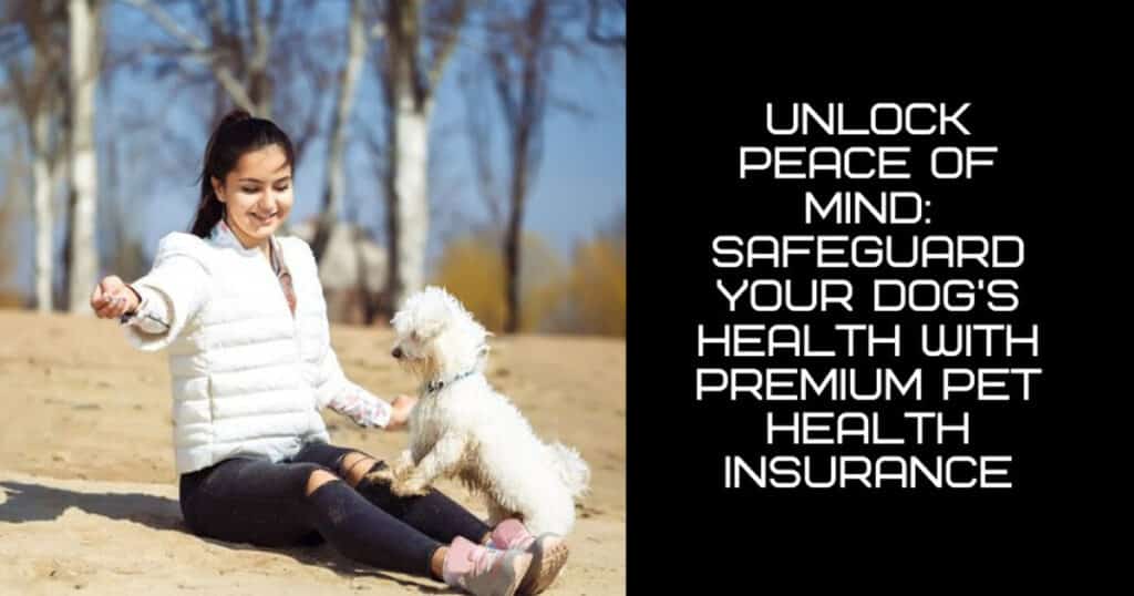 Unlock Peace Of Mind: Safeguard Your Dog's Health With Premium Pet Health Insurance